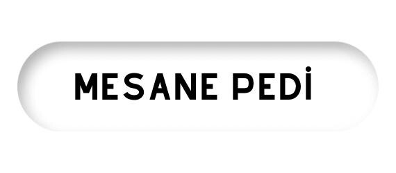 Mesane Pedi